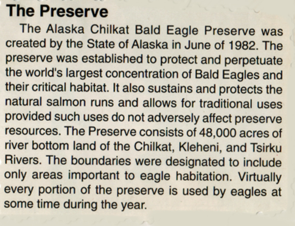 information about The Chilkat Bald Eagle Wildlife Preserve